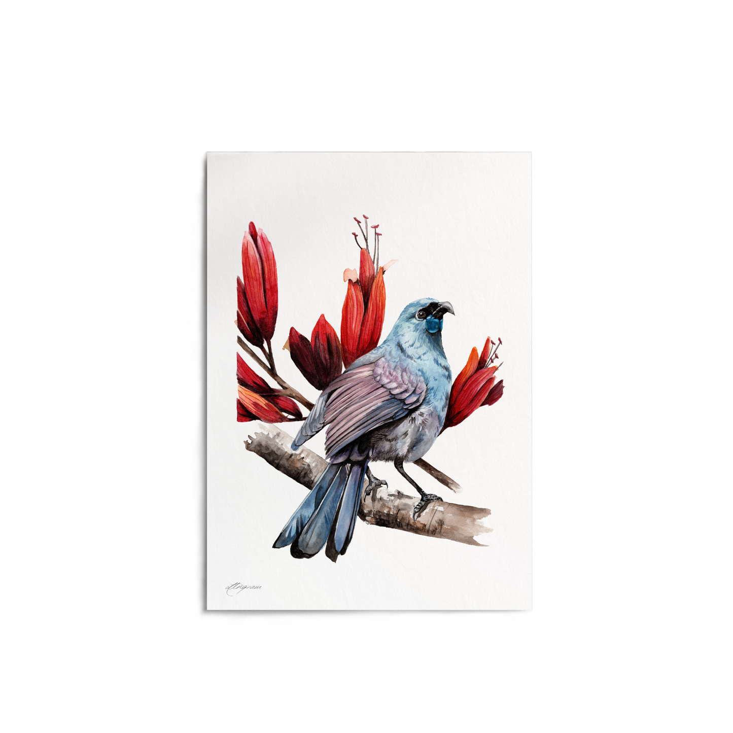 "Kōkako & Harakeke" Print