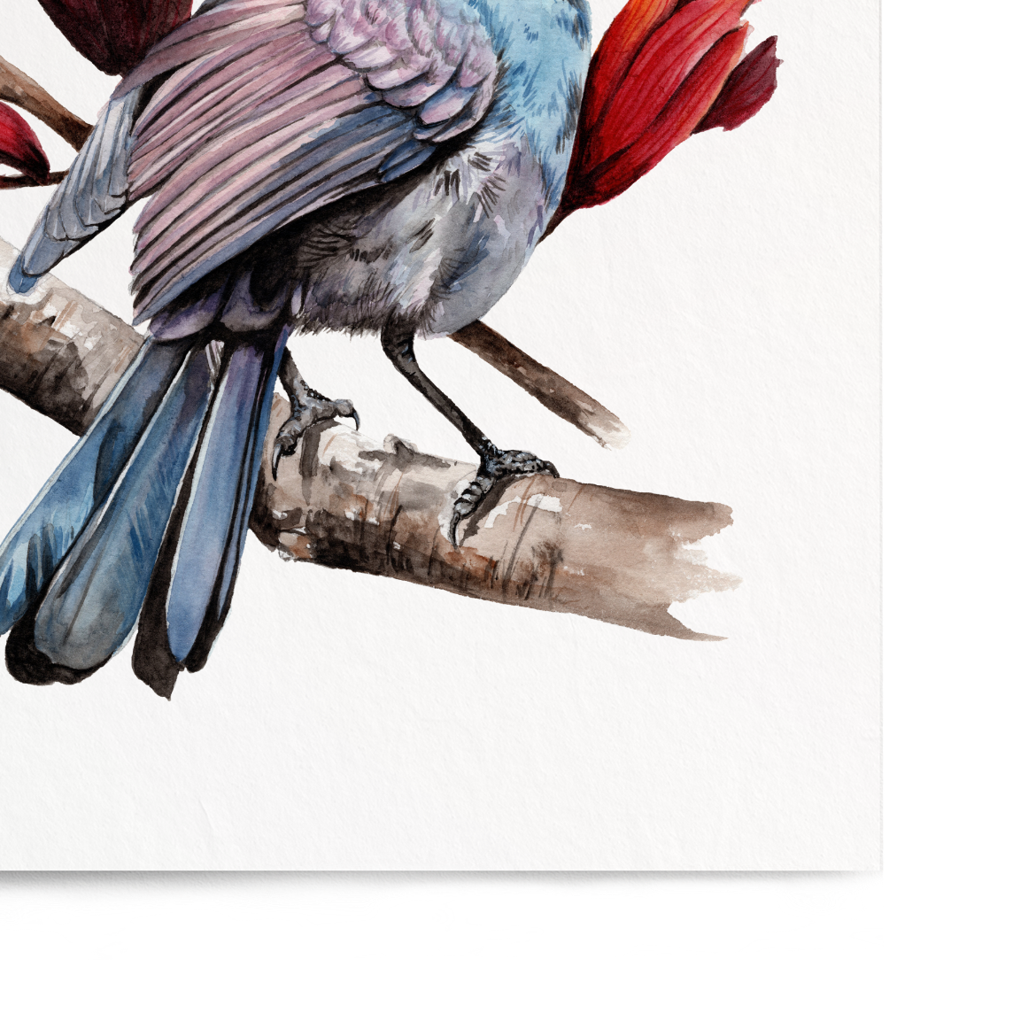 Art print of a bird perched on a branch with red flowers on a white background