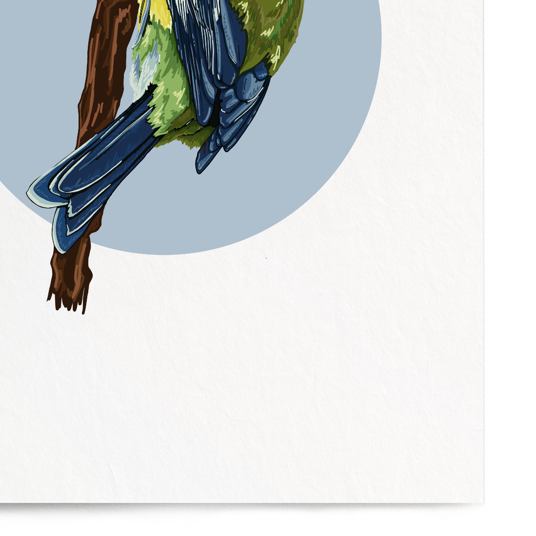 Illustration of a bird on a white background with a blue circle