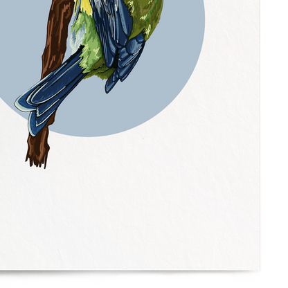 Illustration of a bird on a white background with a blue circle