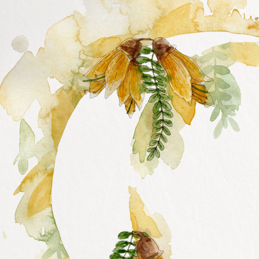 Framed artwork of a floral design with yellow and green colors on a white background