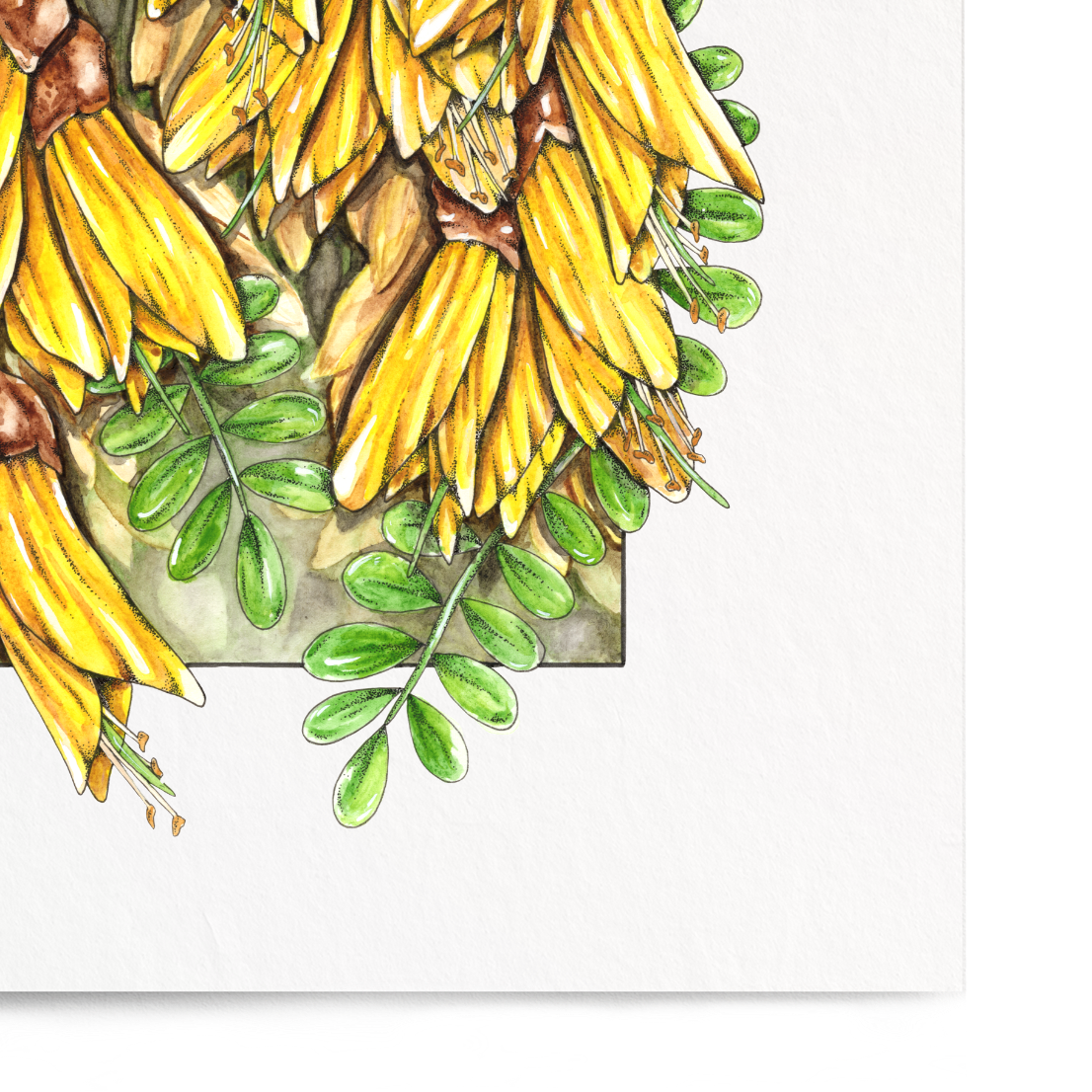 Illustration of yellow flowers with green leaves on a white background