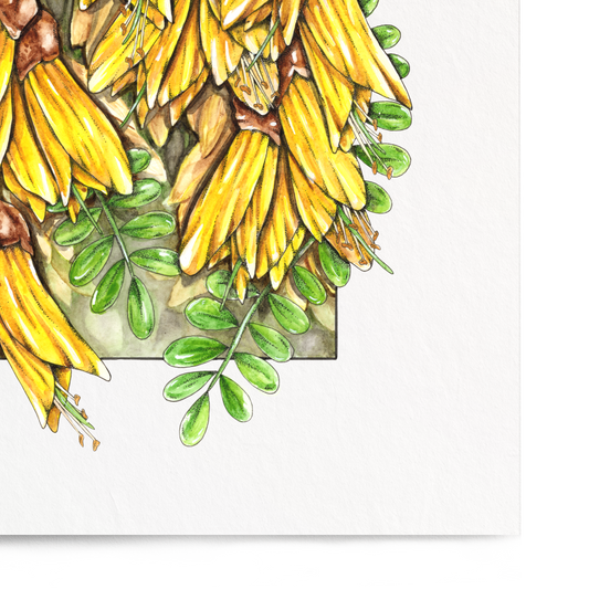Illustration of yellow flowers with green leaves on a white background