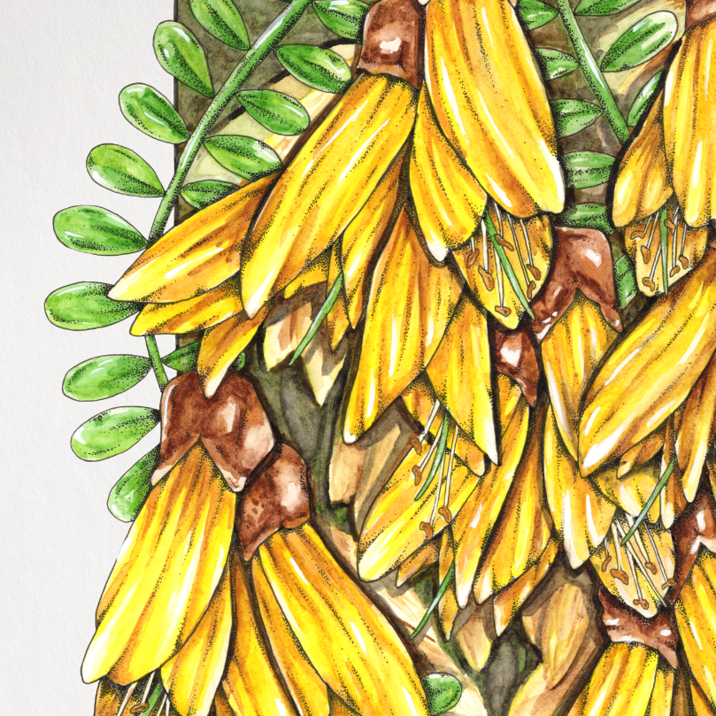 Illustration of yellow flowers with green leaves on a white background
