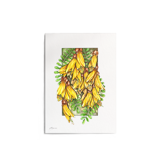 "Kōwhai" Print