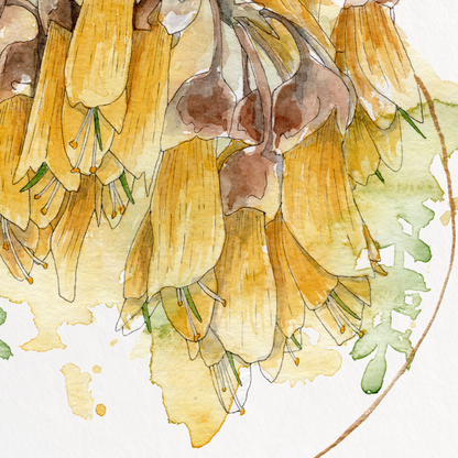 "Kōwhai Wreath" Print