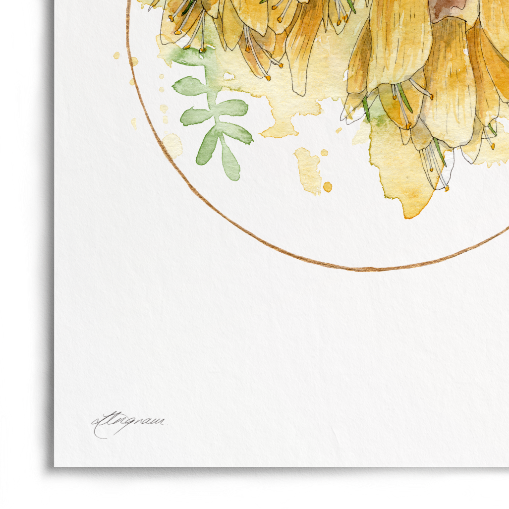 A vertical watercolor art print depicting a cluster of yellow and brown bird's eye flowers with green leaves, presented on a white background with a soft drop shadow.