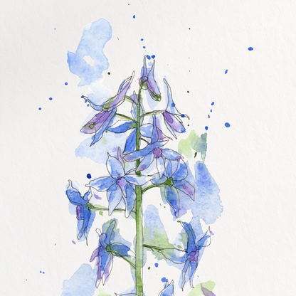 Framed artwork of bluebell flowers on a white background