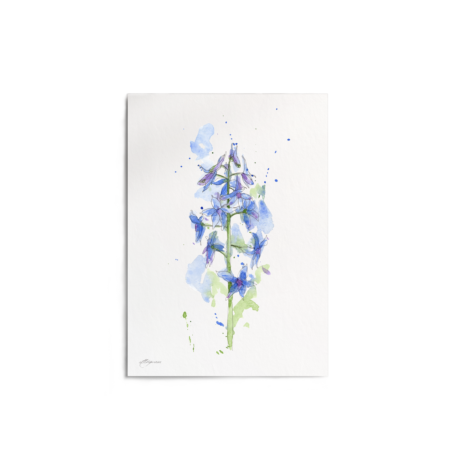 "Larkspur" Print