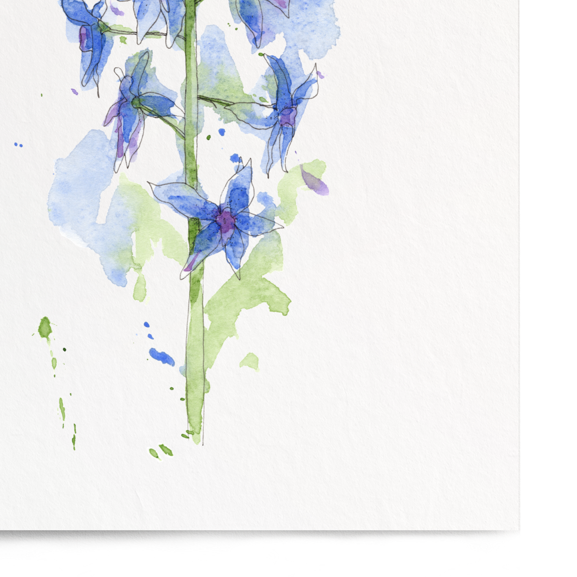 Framed artwork of bluebell flowers on a white background