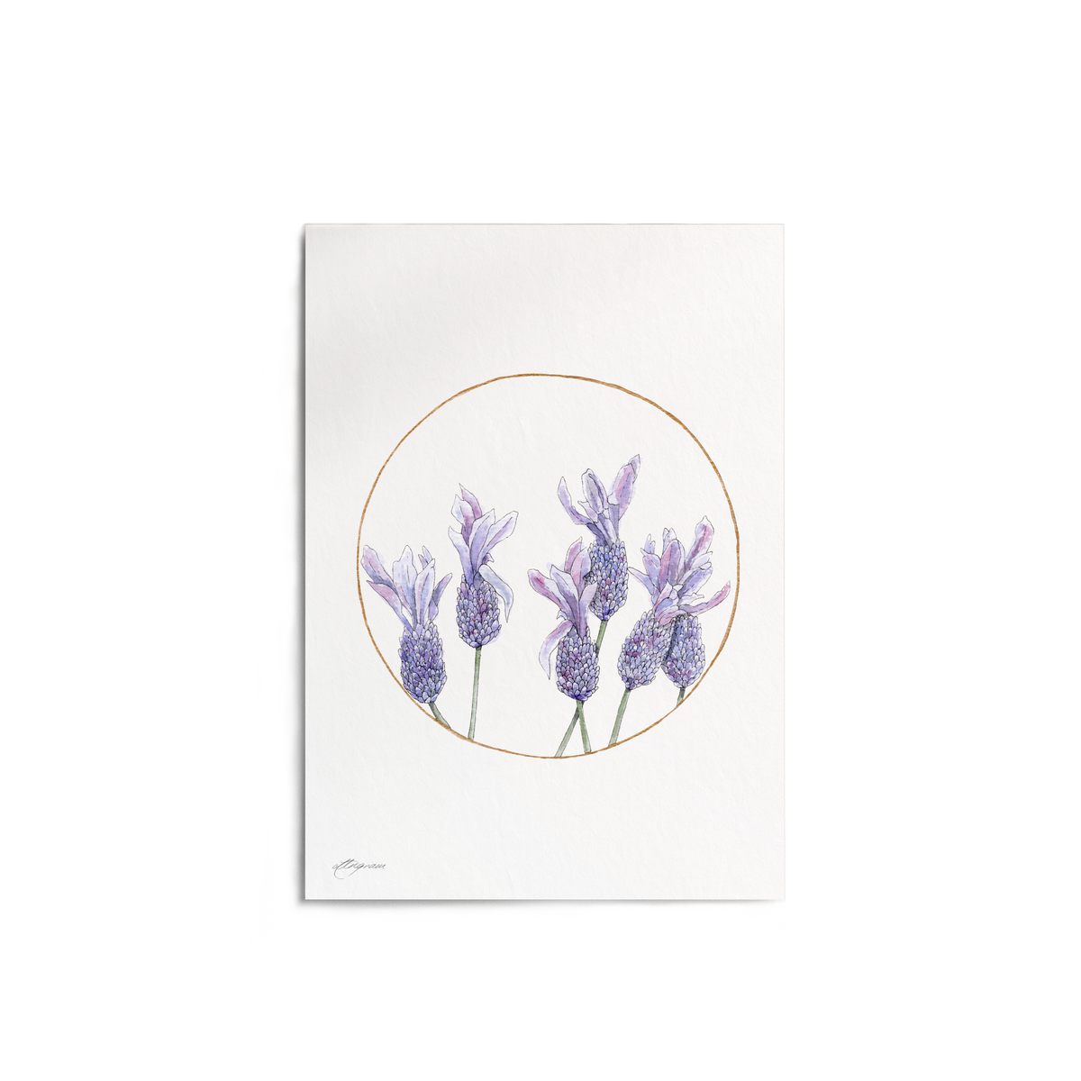 "Lavender Circle" Print