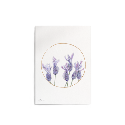 "Lavender Circle" Print