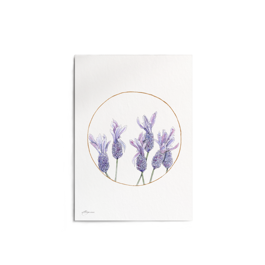 "Lavender Circle" Print