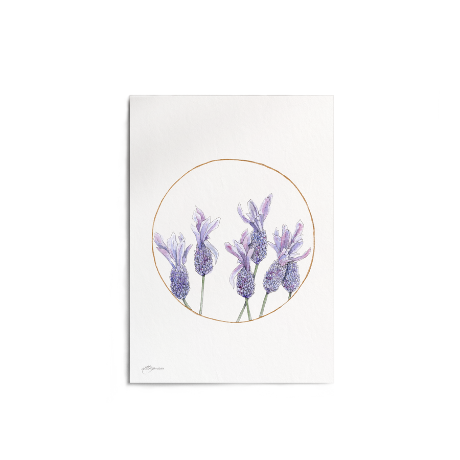 "Lavender Circle" Print