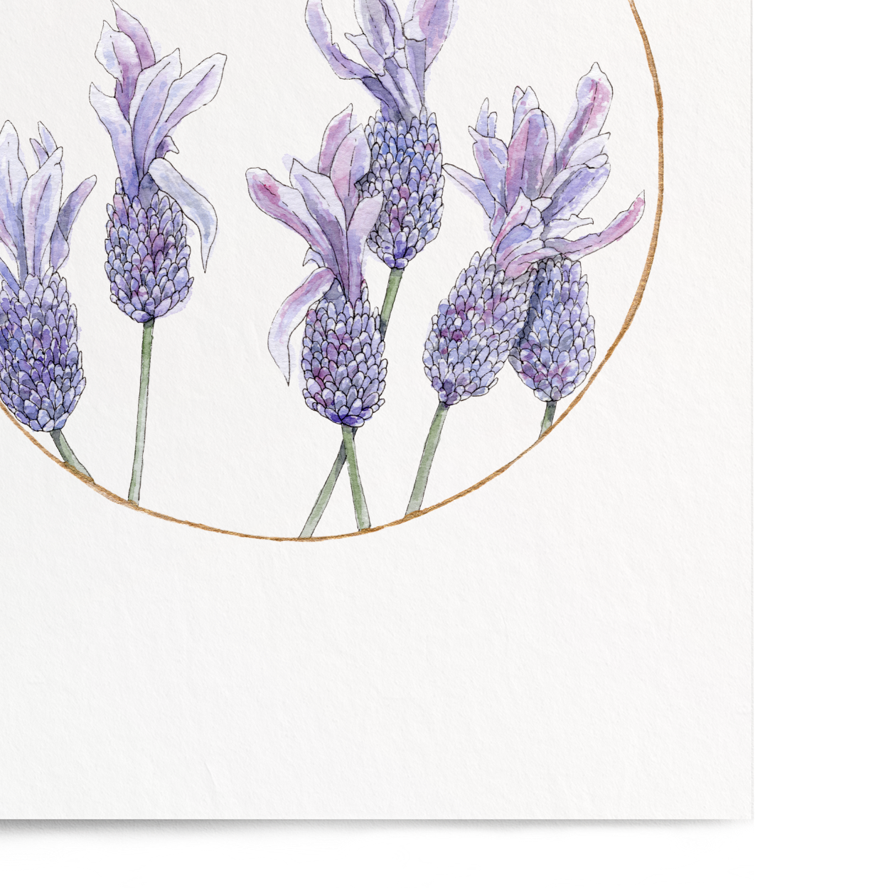 A vertical art print featuring a watercolor illustration of lavender flowers inside a thin gold circle, set against a clean white background.