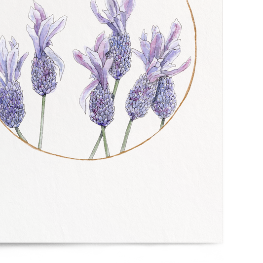 A vertical art print featuring a watercolor illustration of lavender flowers inside a thin gold circle, set against a clean white background.