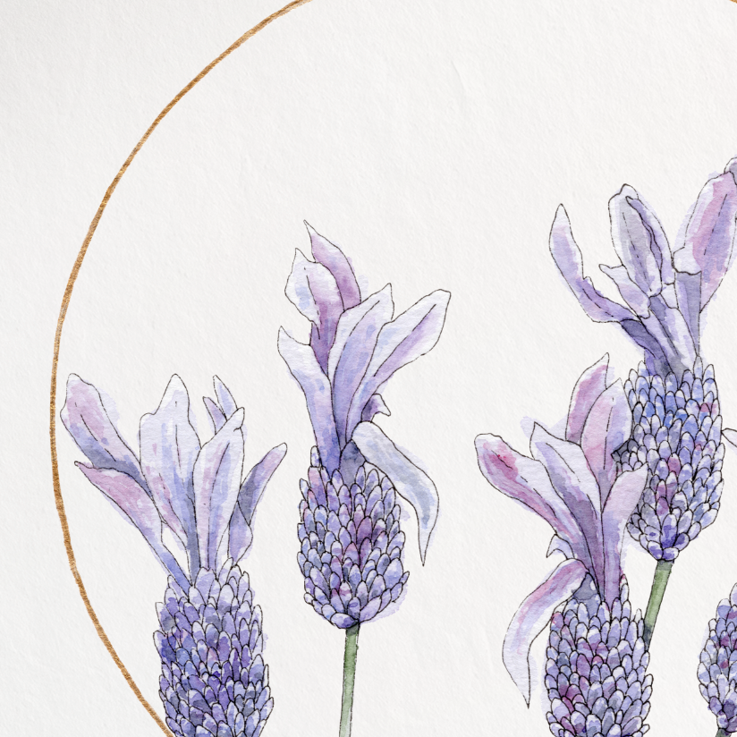 A vertical art print featuring a watercolor illustration of lavender flowers inside a thin gold circle, set against a clean white background.