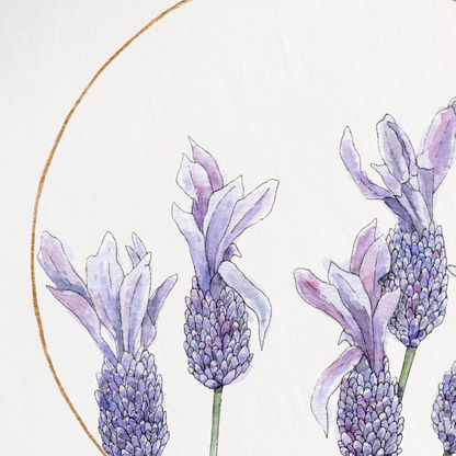 A vertical art print featuring a watercolor illustration of lavender flowers inside a thin gold circle, set against a clean white background.