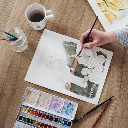 Watercolour Workshop