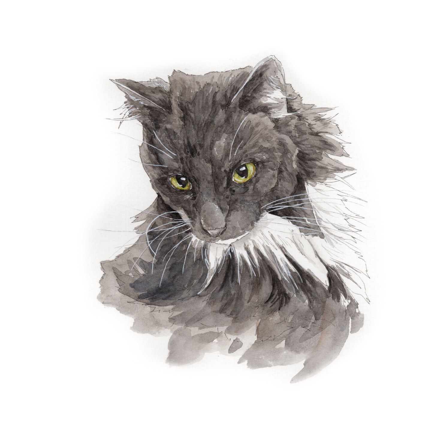 Pet Portrait - Request a quote