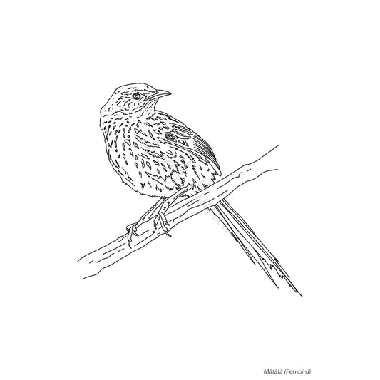 Matamata Colour Page