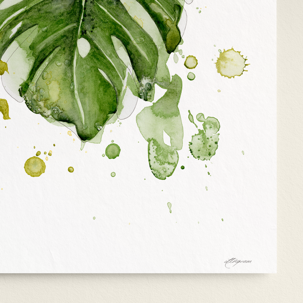 Framed artwork of green leaves on a white background