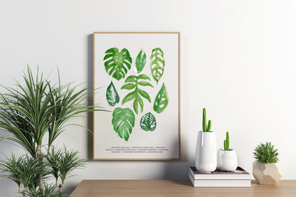 Monstera Leaves Print