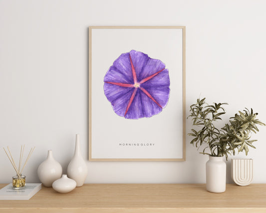 Morning Glory Flower Print