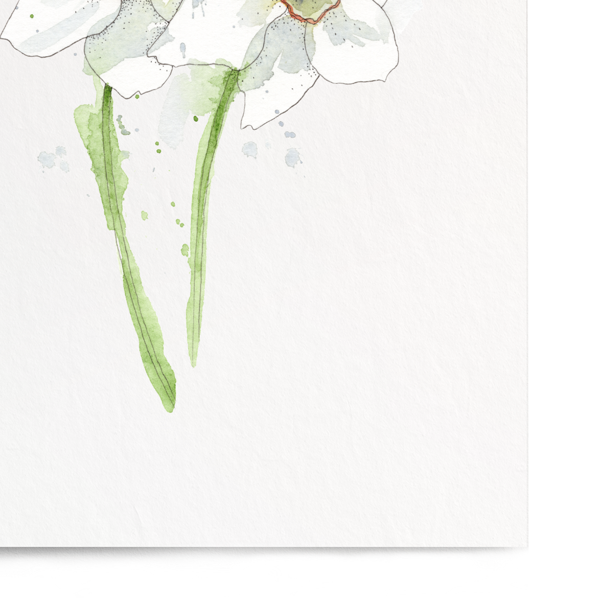 Art print of two white flowers with green stems on a light gray background