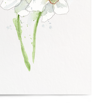 Art print of two white flowers with green stems on a light gray background