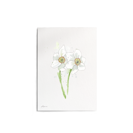 "Narcissus" Print