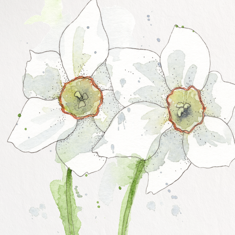 Art print of two white flowers with green stems on a light gray background