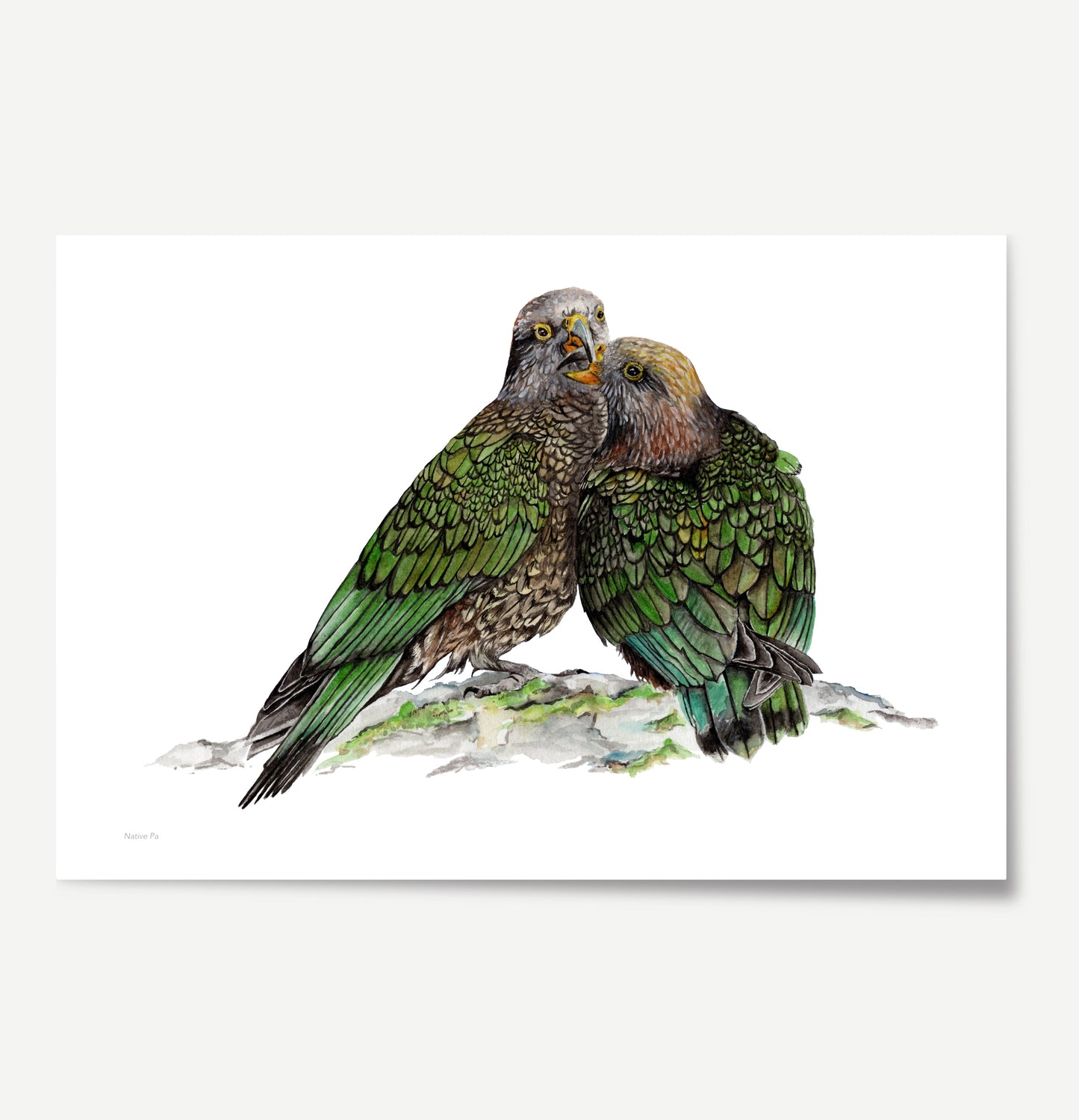 Native Pair Kea Print