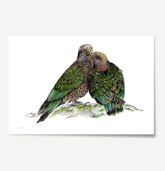 Native Pair Kea Print
