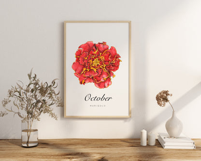October Birth Month Flower Print
