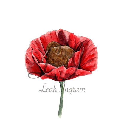 ONO Price - Peace in Poppies Original