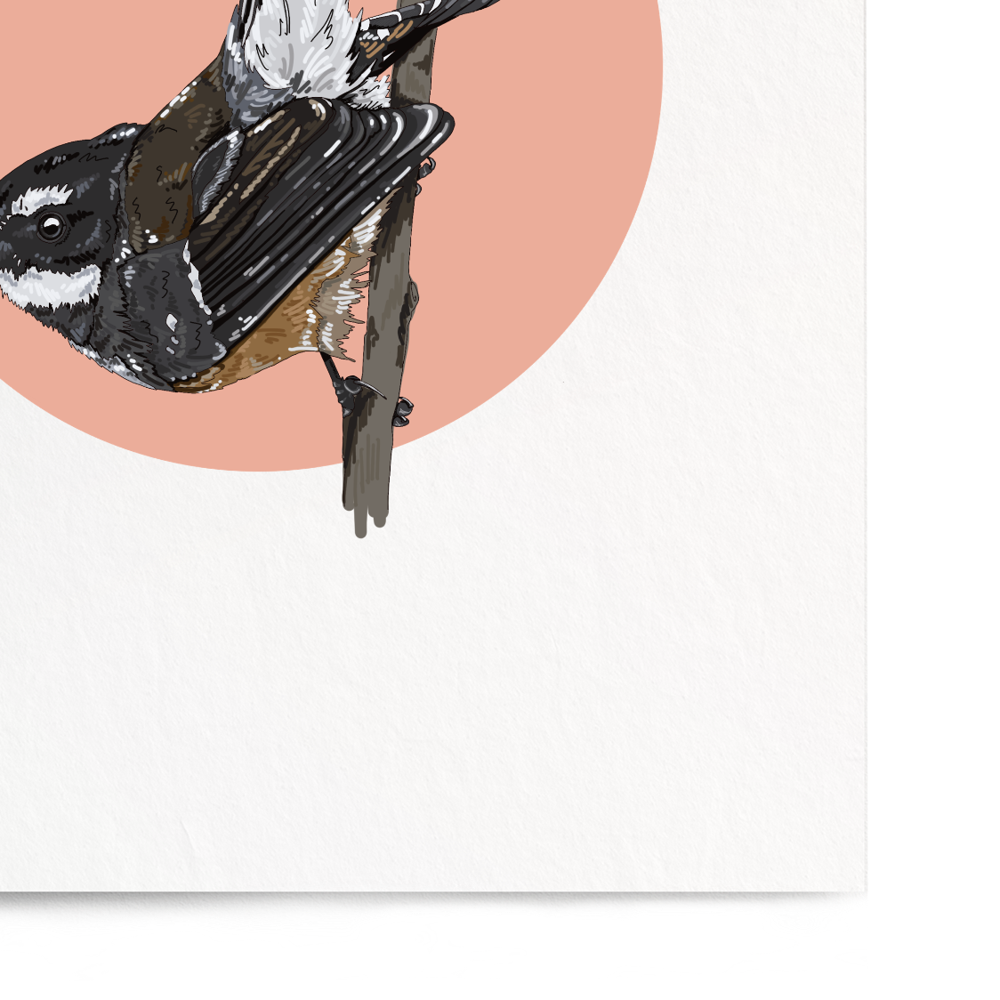 Framed artwork of a bird on a branch with a pink circle background