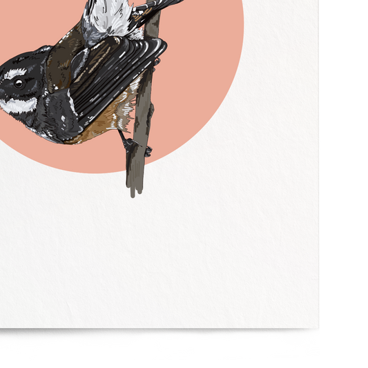 Framed artwork of a bird on a branch with a pink circle background