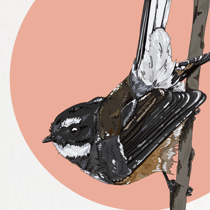 Framed artwork of a bird on a branch with a pink circle background