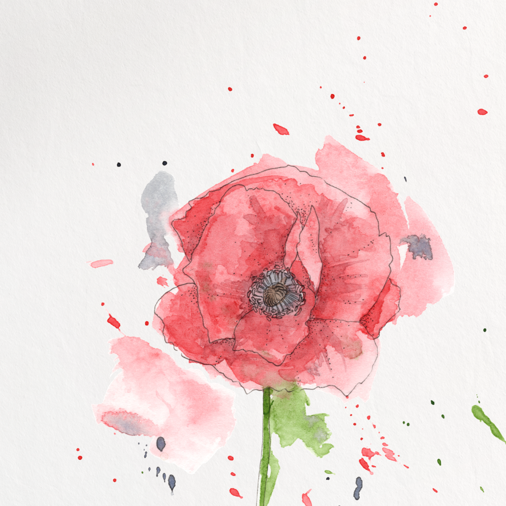 Watercolor painting of a pink flower on a white background