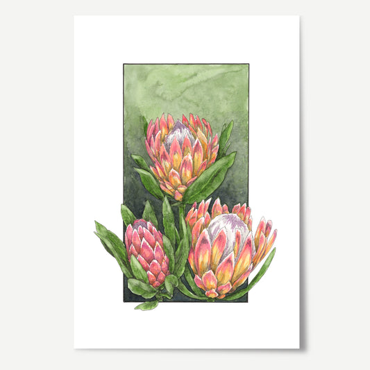 Protea Print