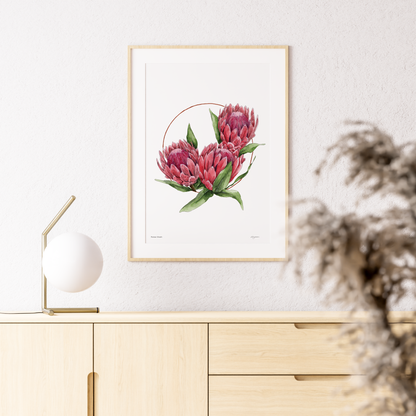 "Proteas Wreath" Print
