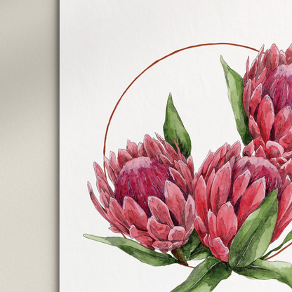 "Proteas Wreath" Print