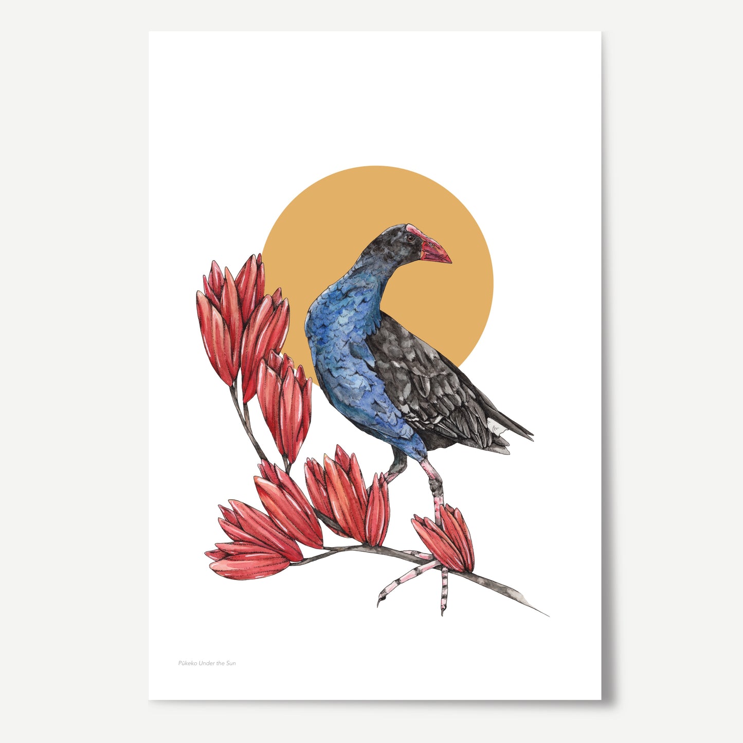 Pūkeko Under the Sun Print