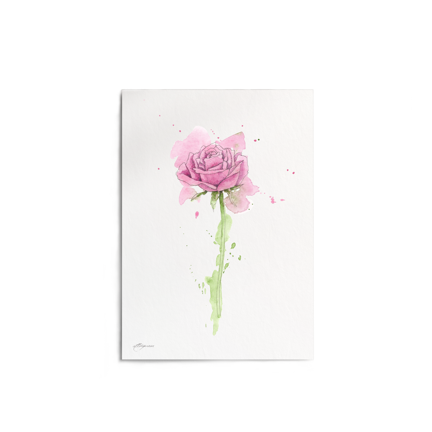 "Rose" Print