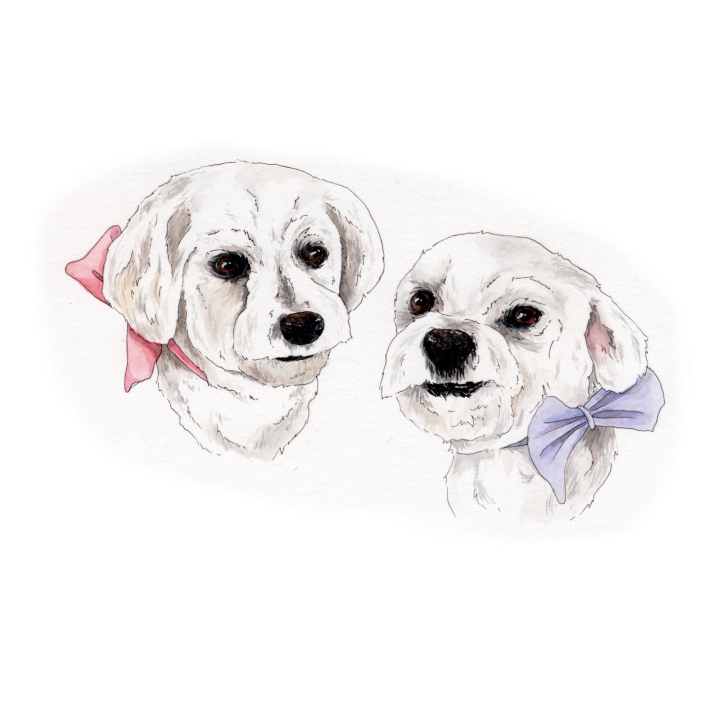 Mini Pet Portrait