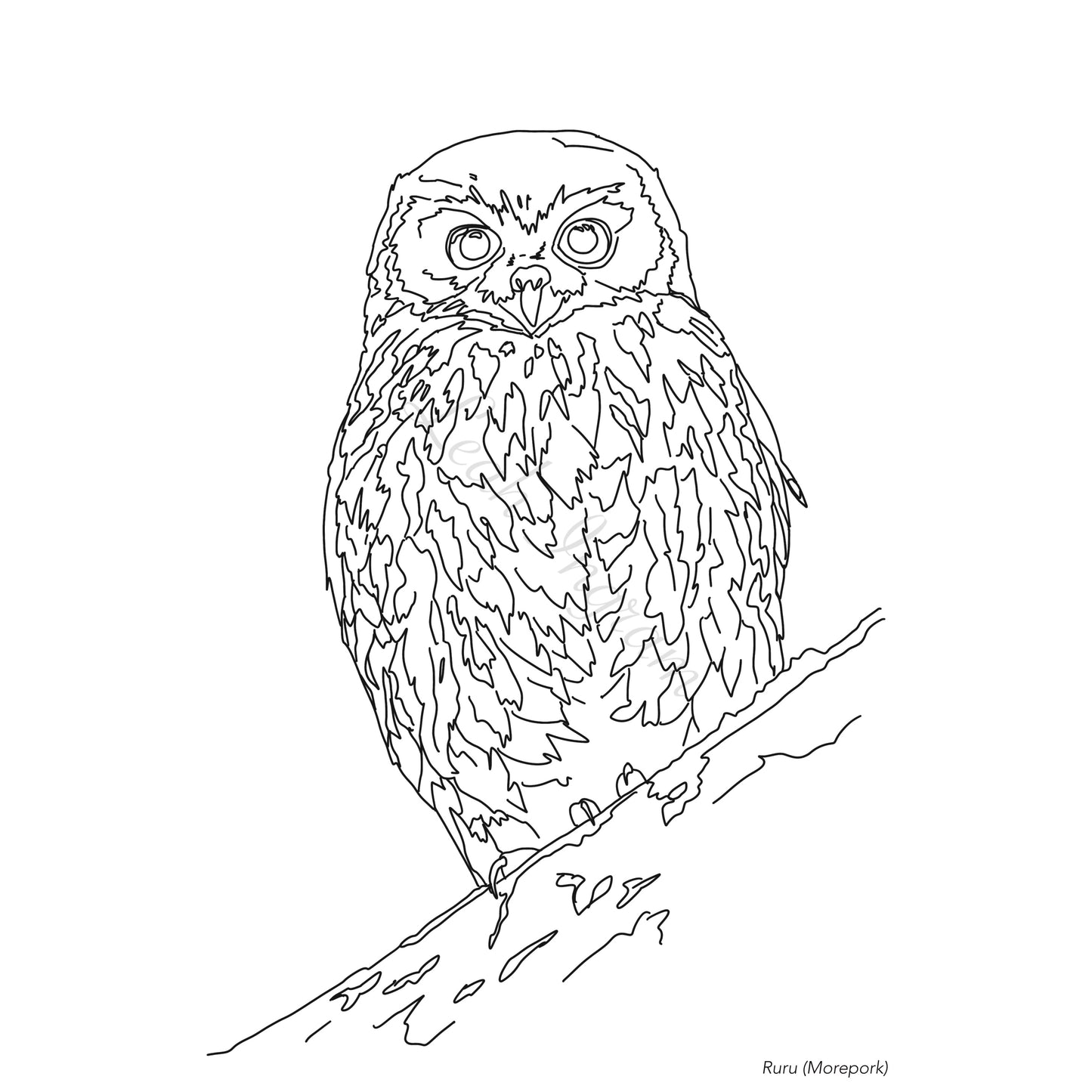 Ruru Colour Page