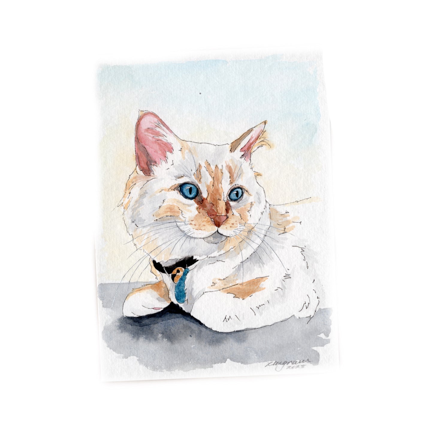Mini Pet Portrait