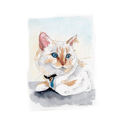 Mini Pet Portrait