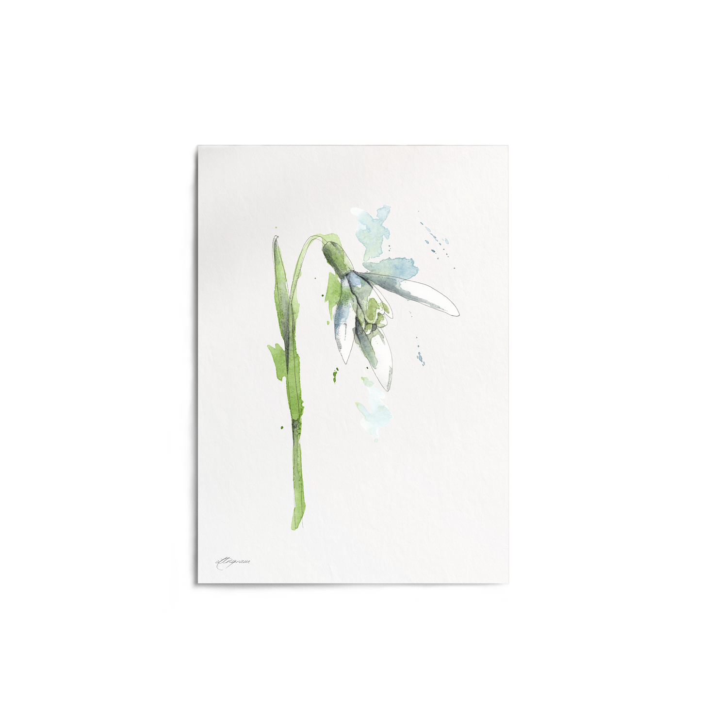 "Snowdrop" Print